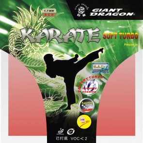 Giant Dragon Karate Soft Turbo